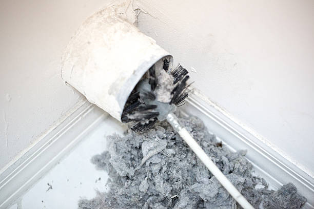 Best HVAC Air Duct Cleaning  in Hastings, MI